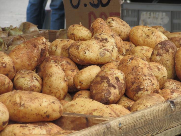 Cyprus Commerce Ministry promotes potato exports to Germany, Austria and Belgium