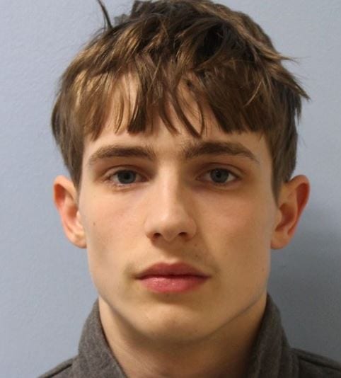 Sentencing of two teenagers who were ‘menace to the London public’