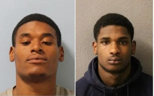 Two brothers jailed for violent robberies in North London