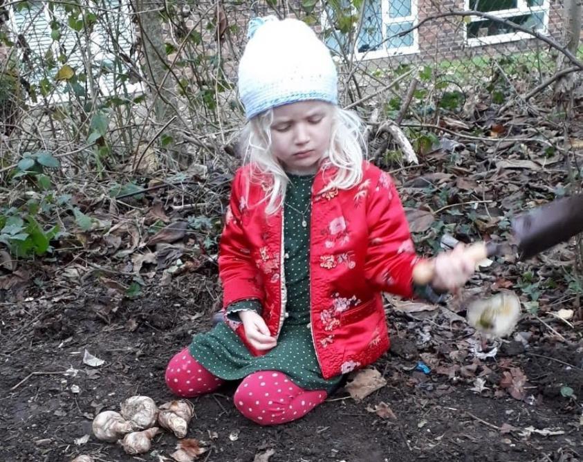 East Finchley gardeners community bulb planting