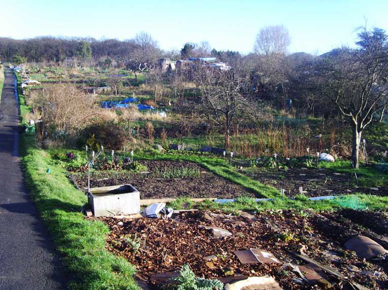 Fire at a range of allotments – Finchley
