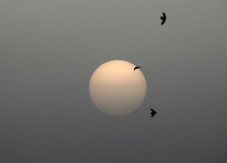 High levels of dust in Cyprus Vulnerable groups advised to be cautious