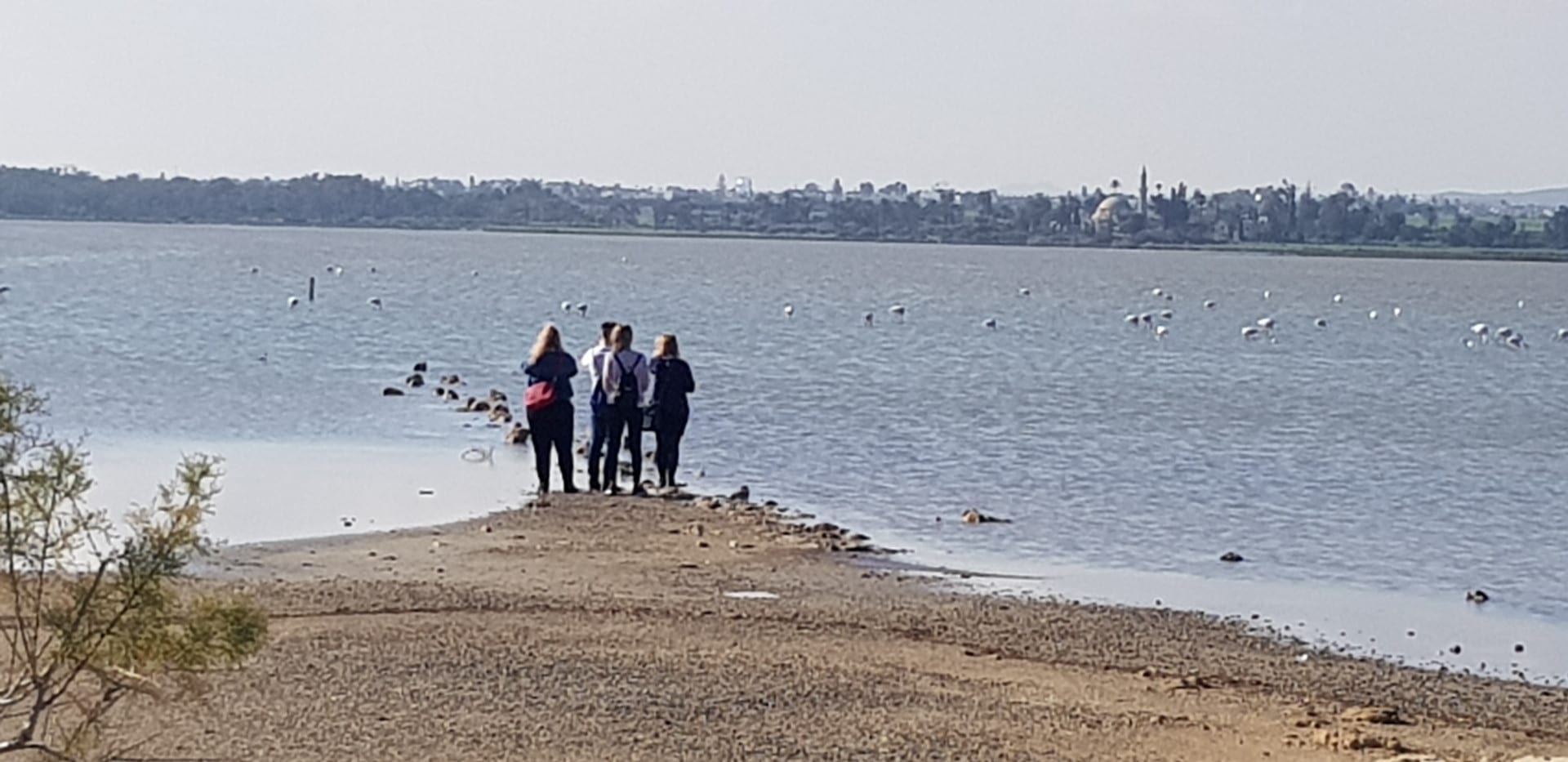 Larnaca Salt Lake