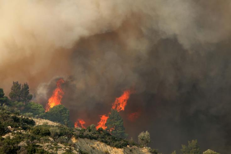 Fires in Cyprus