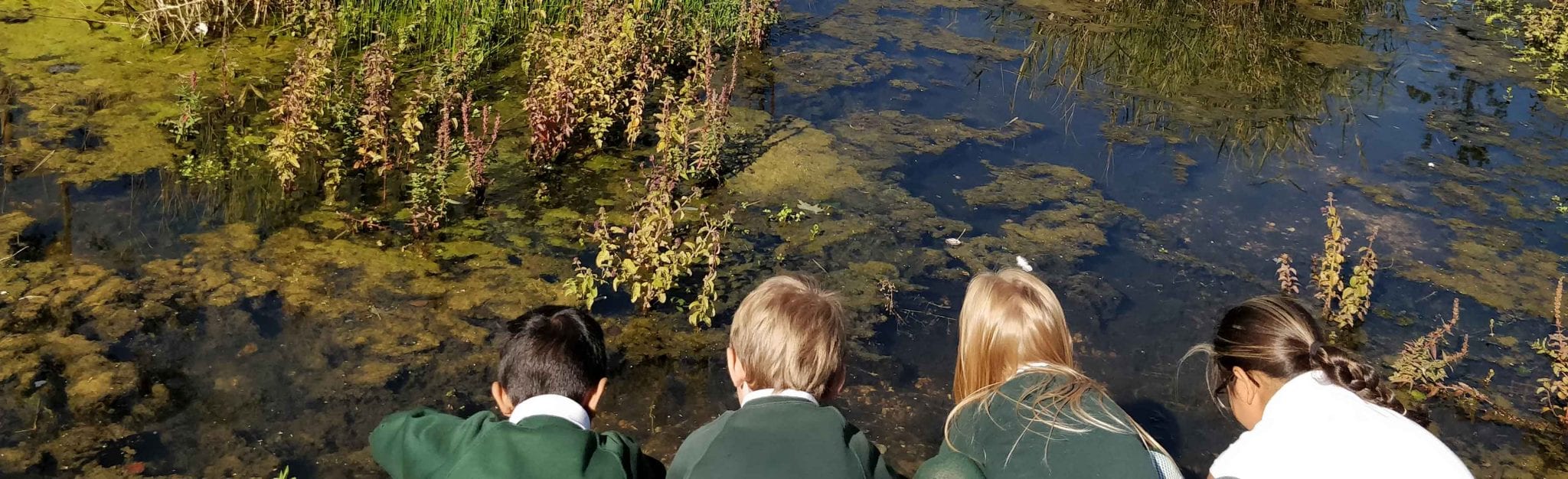 Unique wildlife and wetlands space opens in Enfield Lock