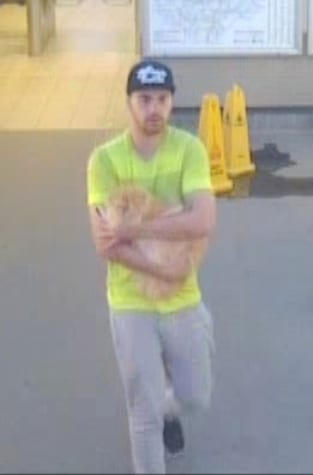Appeal following theft of cat