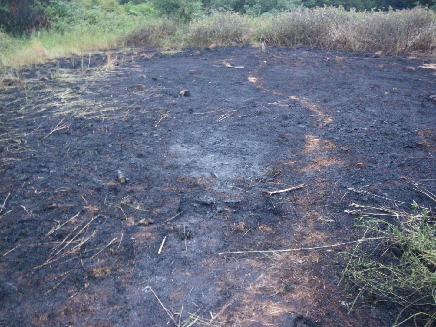 An area around the size of 6 football pitches was damaged during a grass fire on Newbury Park in Ilford on Saturday. Please call 999 immediately if you see smouldering grass
