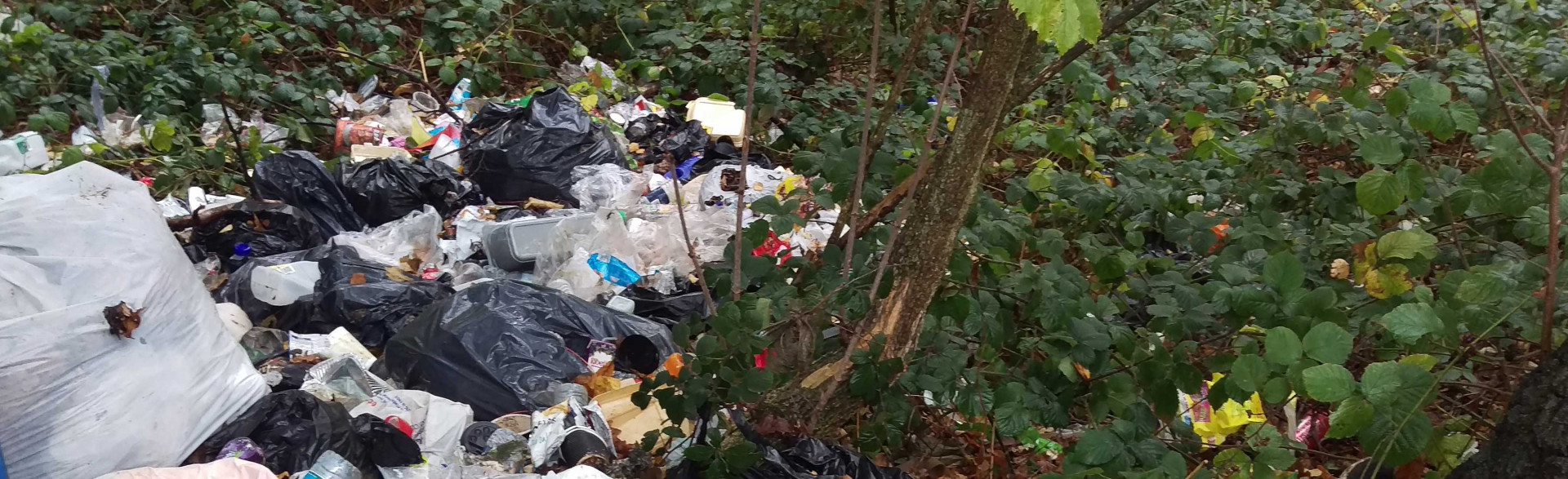 Enfield Council: Dumped rubbish costs a pretty penny to clear