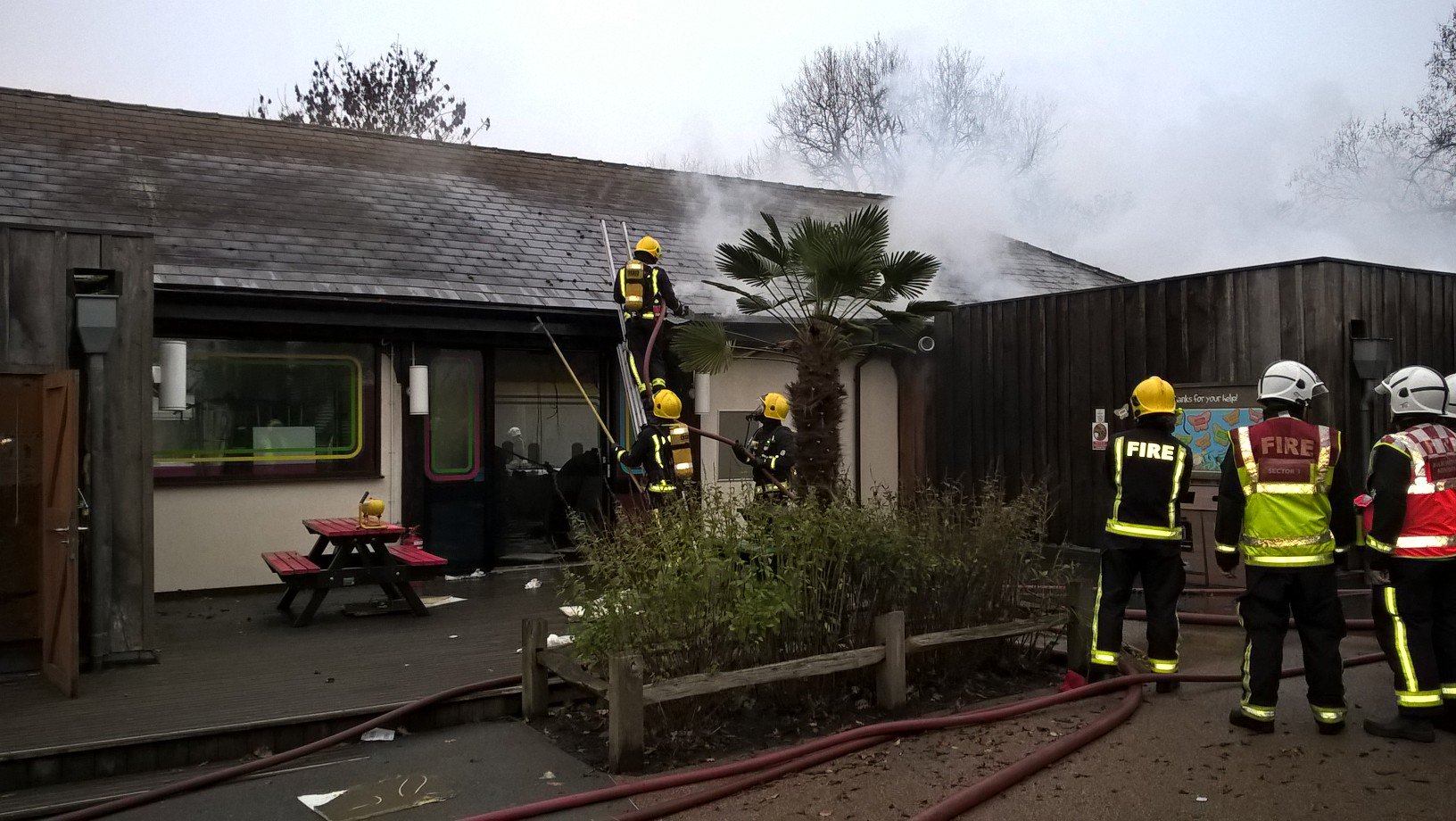 Fire at London Zoo