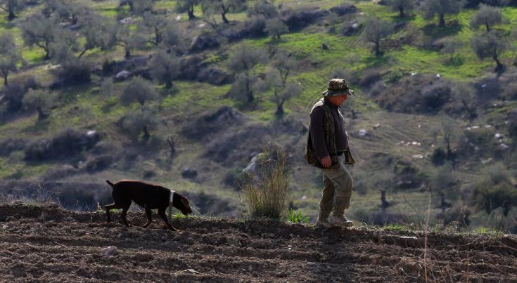 Hunting in the Cyprus buffer zone strictly prohibited, says UNFICYP