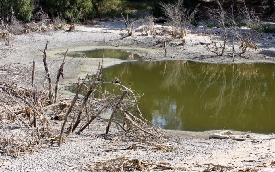 Cyprus at risk of becoming a desert island