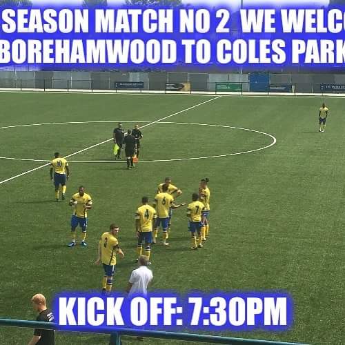 Haringey Borough home match tonight