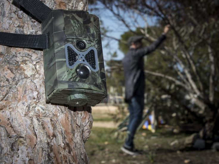 Hefty fines for illegal bird trappers by Cyprus British Bases court
