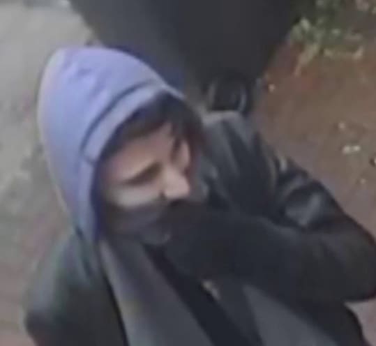 Appeal following brutal robbery of 85-year-old woman