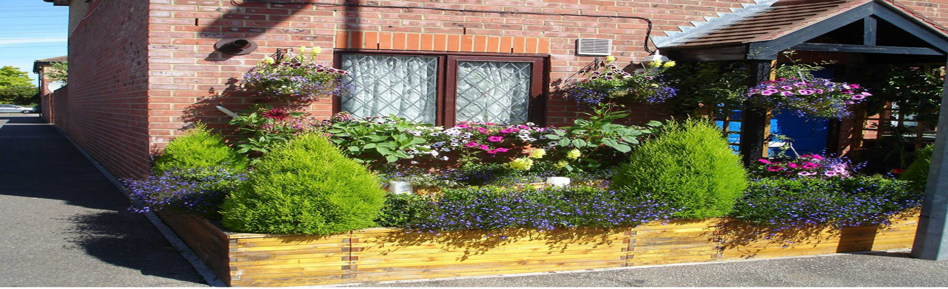 Burgeoning gardens get set for Enfield in Bloom competition
