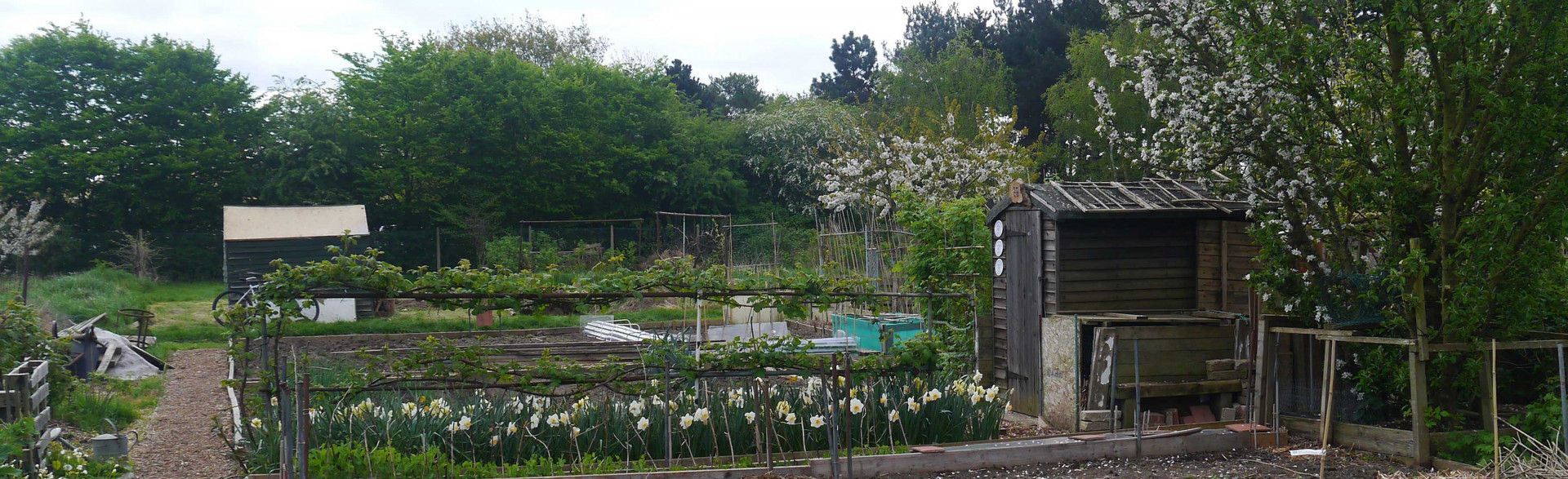Enfield residents snap up allotment plots in spades