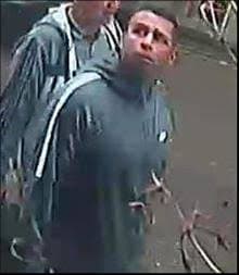 Renewed appeal following pub assault in Islington