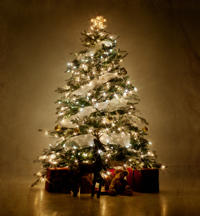 Christmas comes to Tottenham