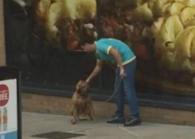Shocking video shows man kicking and punching dog in Holloway