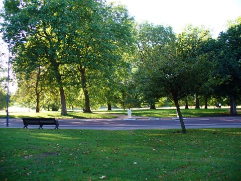 Suspicious death in Hyde Park
