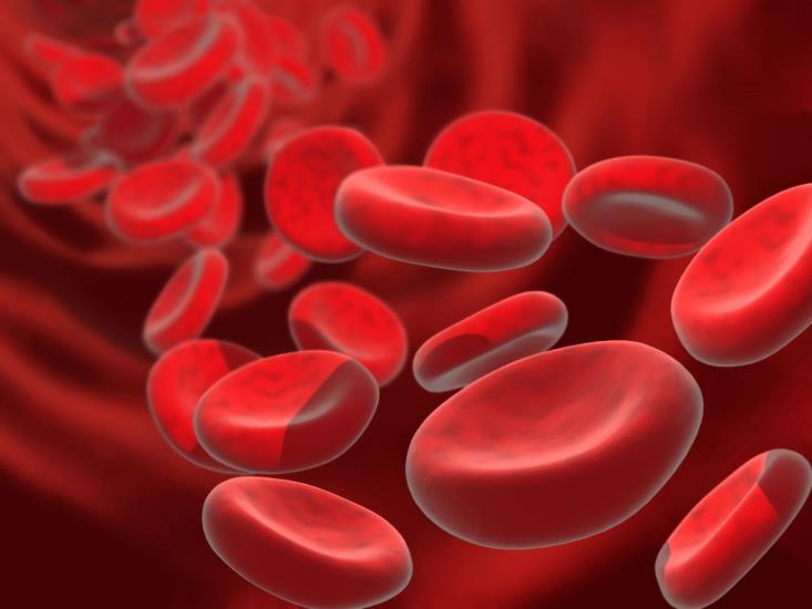 Two thousand births with thalassemia prevented through screening in Cyprus