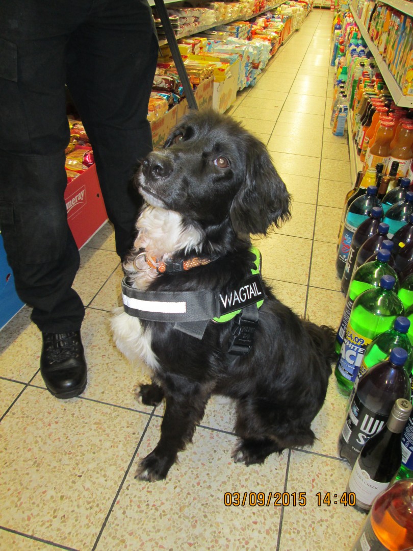Illicit cigarette haul in Enfield drops off-licence in the proverbial