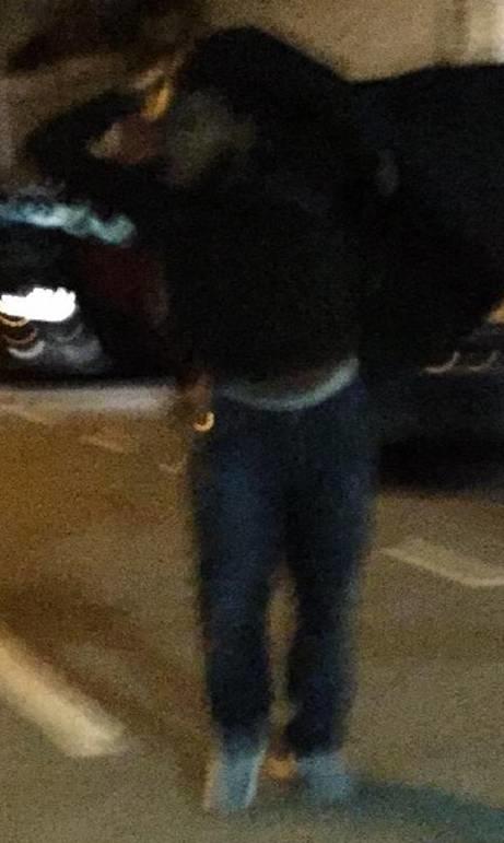 Man charged and second suspect sought re Finsbury Park stabbings