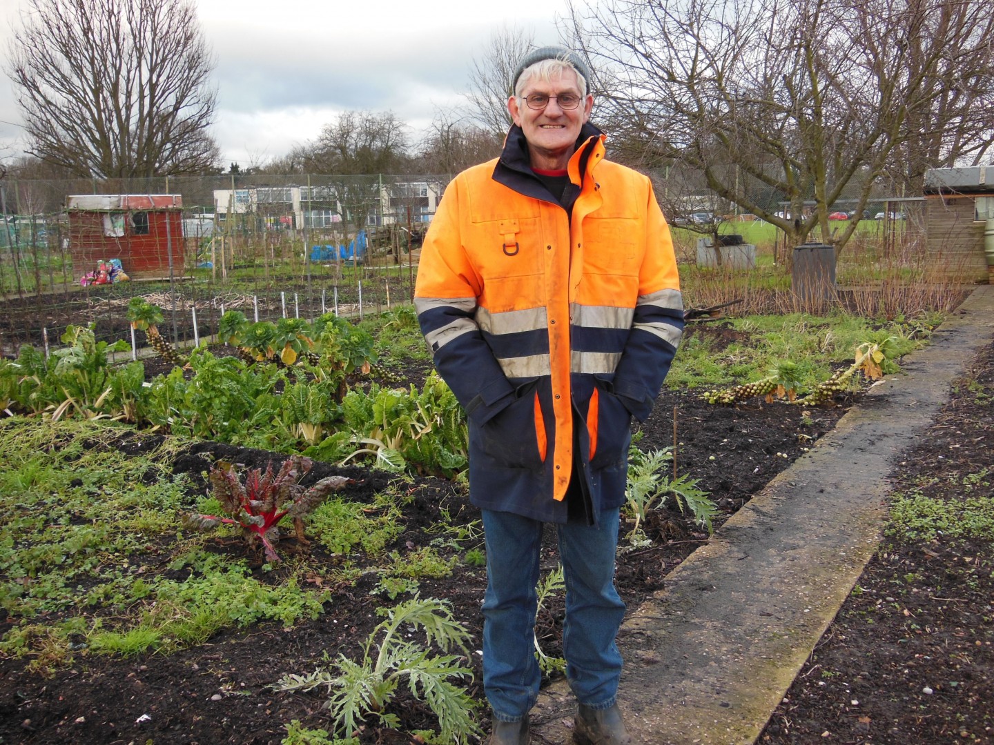 Enfield Council:Dig deep in 2016 with a new allotment
