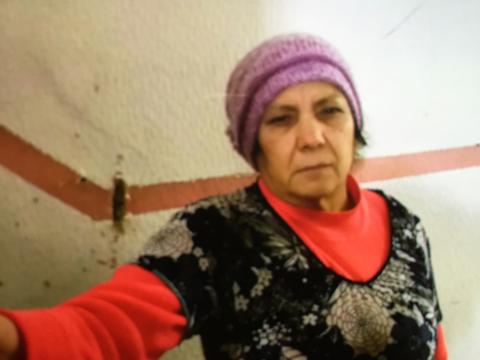 Police appeal for missing Cypriot woman from Islington