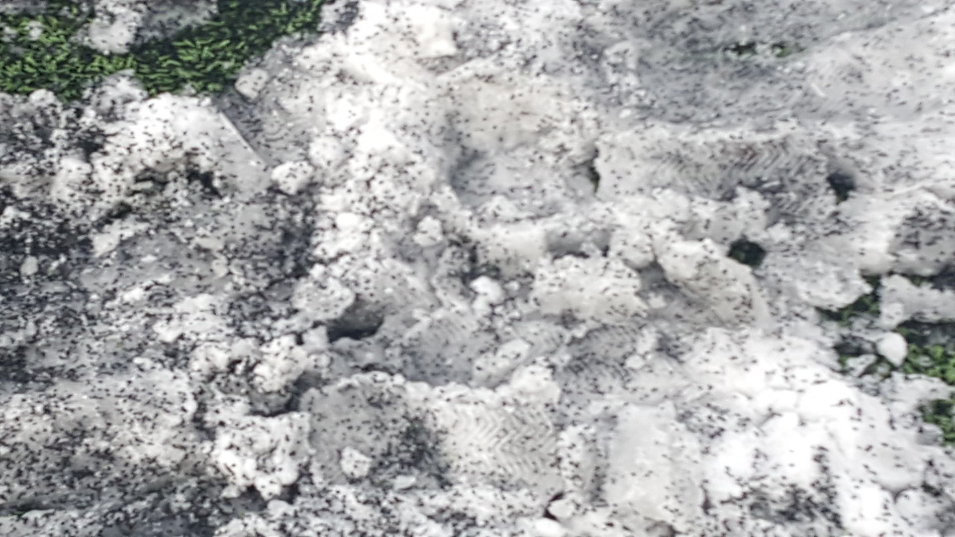 New Salamis FA Sunday Cup game postponed
