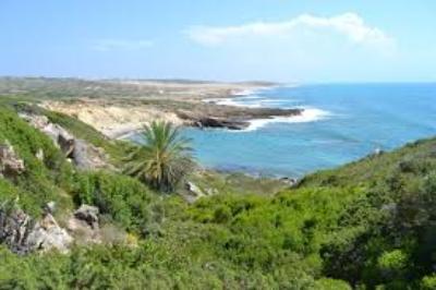 Maronites express support for a democratic federal Cyprus