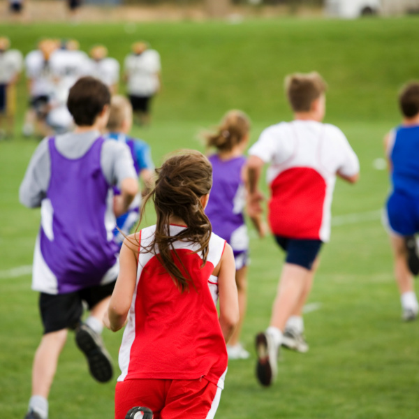 Stock Photo of a Cross Country Race