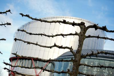 ECHR orders Cyprus to pay €16,500 to Kurdish asylum