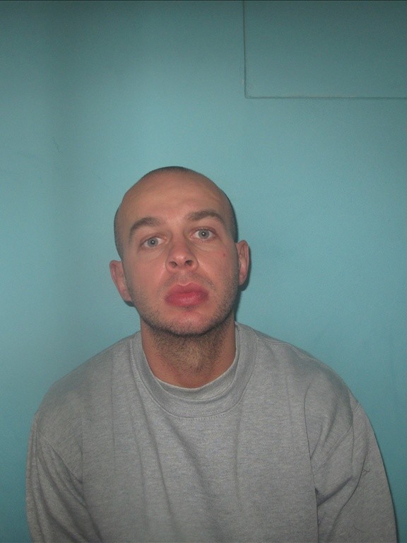 Appeal to find prisoner released in error