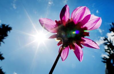 Parts of England hotter than Cyprus today