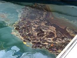Cypriot company sentenced in dumping case