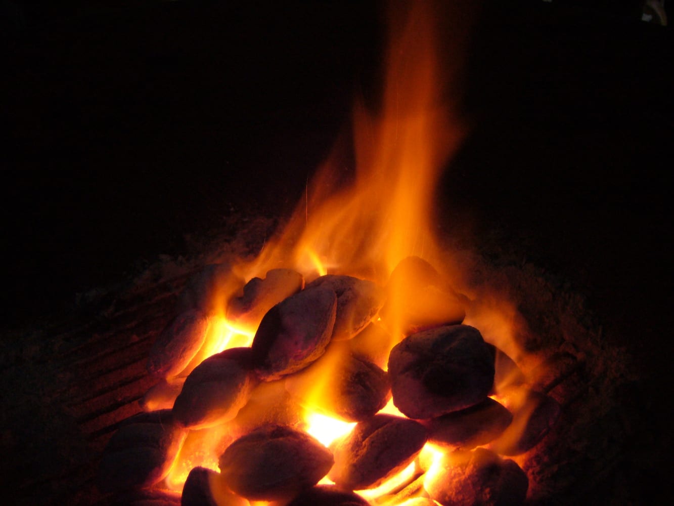 All Greek swimmers want for Christmas is coal
