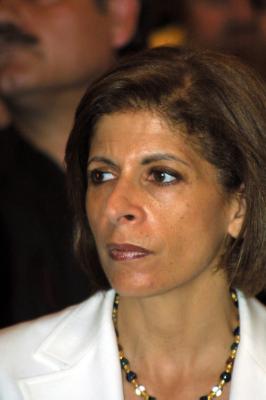 Many family violence incidents in Cyprus, says Cypriot MP