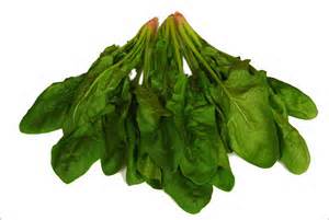 Greek university students win award for growing spinach on Mars