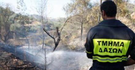 Cyprus : Fires malicious