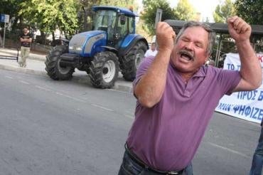 Farmers furious at halloumi law