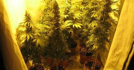 Larnaca: Drug raid