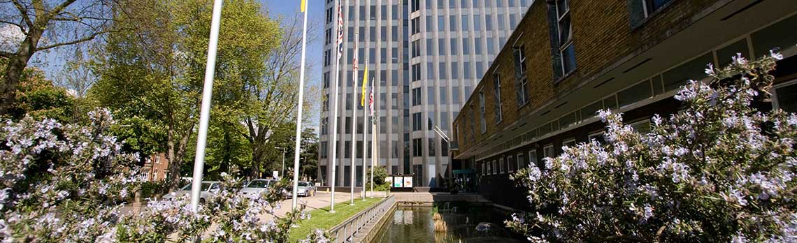 Communities unite to Inspire Young Enfield thanks to successful Council funding bid