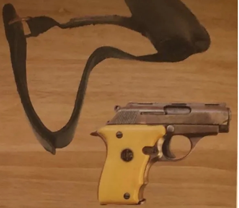 Appeal after James Bond firearms stolen from house in Enfield