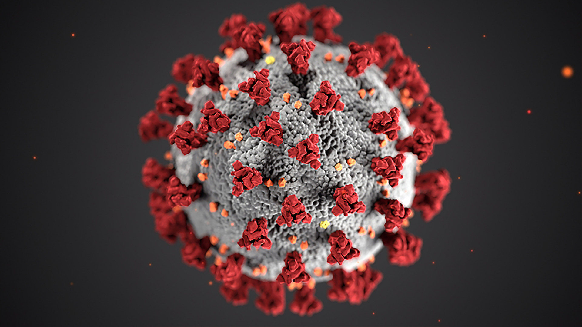 Surge testing to be deployed in Finchley where the variant first identified in South Africa has been found