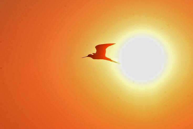 Department of Meteorology in Cyprus issues Yellow Warning for extreme high temperature