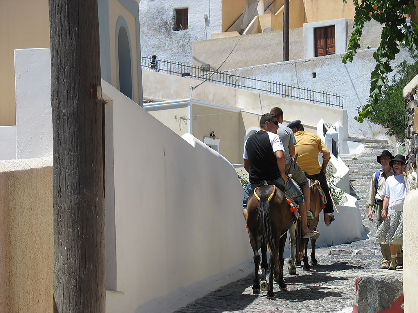 Authors join call for end to cruel donkey rides in Santorini