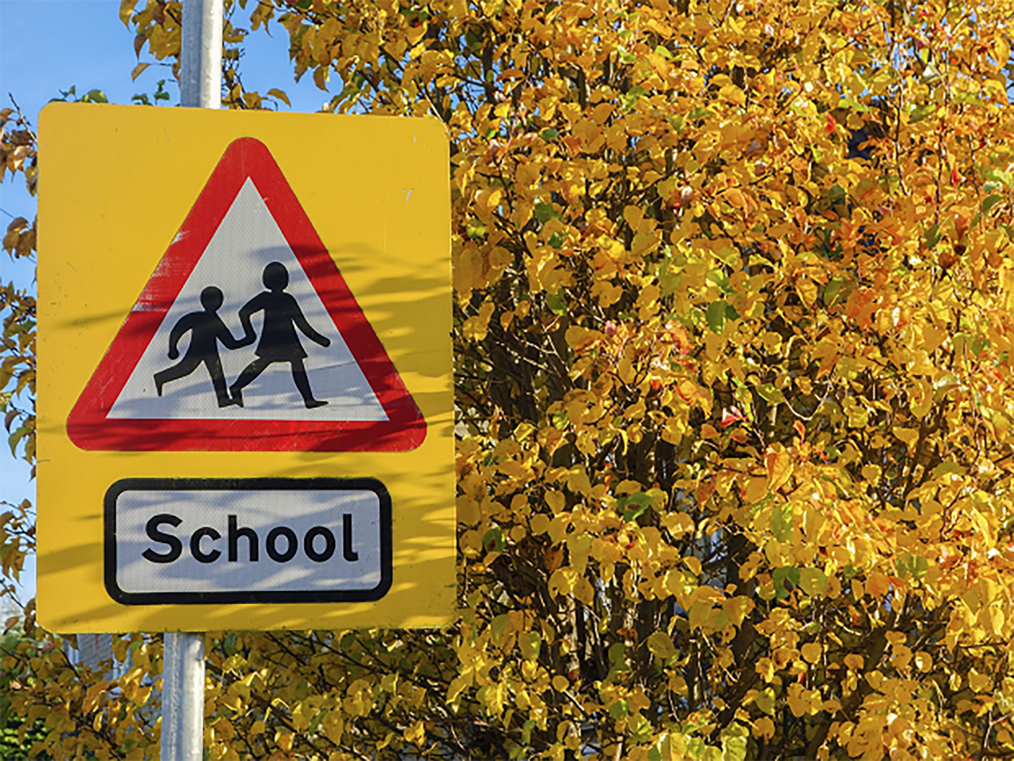 Hertfordshire: Applying for schools in 2023