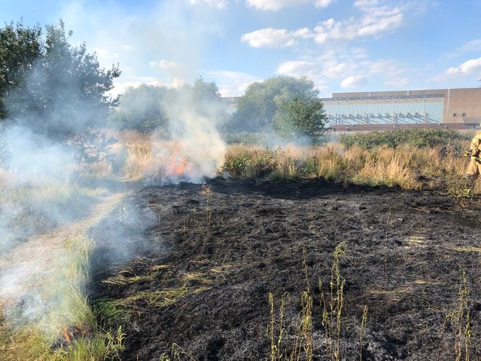 Grass fire in Tottenham