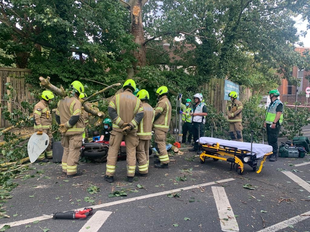 Tree fallen in road – Leyton